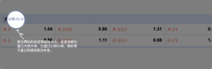 足球博彩:东升国际足球投注技巧和规则 10 betting_5