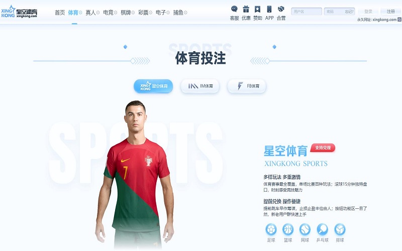 东升国际体育 东升国际体育